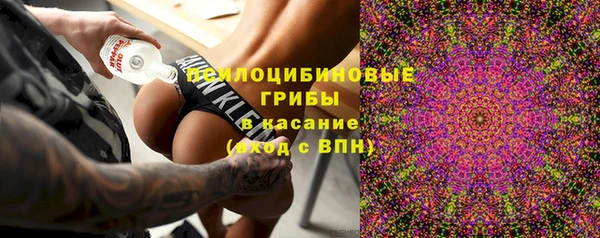 дмт Дмитров