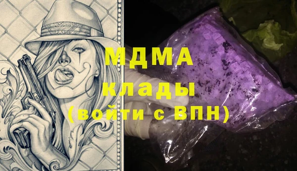прущие грибы Инта
