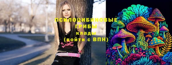 винт Дмитровск