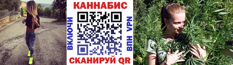 Бошки Шишки планчик Шатура
